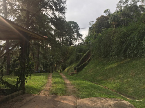Imagem 8 de 30 de Sítio Á Venda Em Juquitiba-sp Ideal Para Renda! - 159 - 33954608