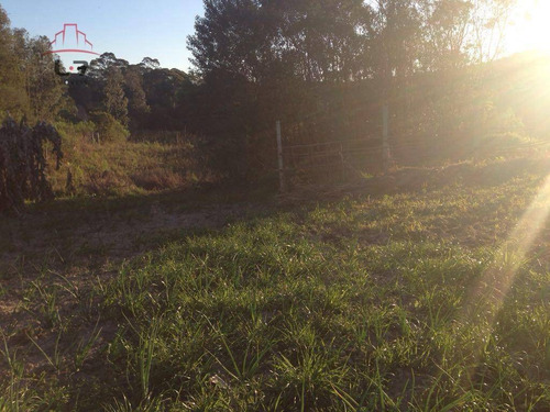 Imagem 8 de 8 de Terreno À Venda, 20000 M² Por R$ 450.000,00 - Areia Branca - Mandirituba/pr - Te0139