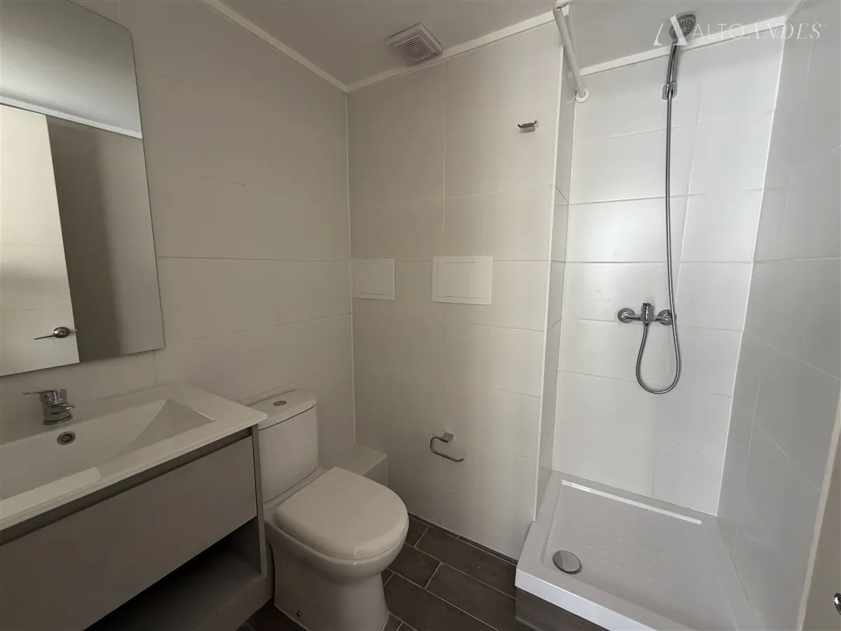 Imagen 2 de 15 de Departamento En Arriendo En Providencia