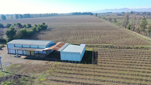 Venta -  Molina - 55,8 Hectáreas