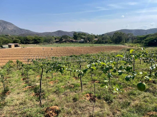 Carlos Colmenarez Vende Fabulosa Finca De 13ha. Con: 2 Lagunas, Agua Por Buco A Gravedad, Posee Electricidad 110 Y 220, Ubicada A Pocos Minutos Del Centro Del Tocuyo Con Acceso Directo De La Autopista