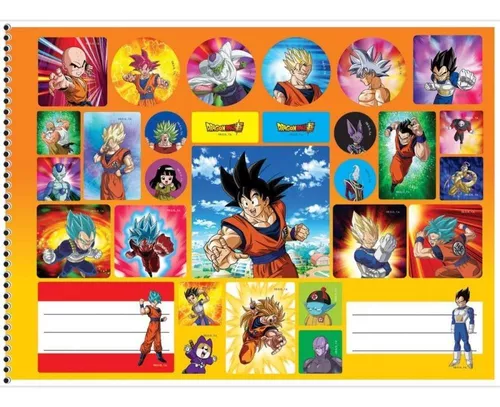 Caderno Desenho Dragon Ball Z Capa Dura Grande 60 Folhas - SD Inovaçoes -  Caderno de Desenho - Magazine Luiza