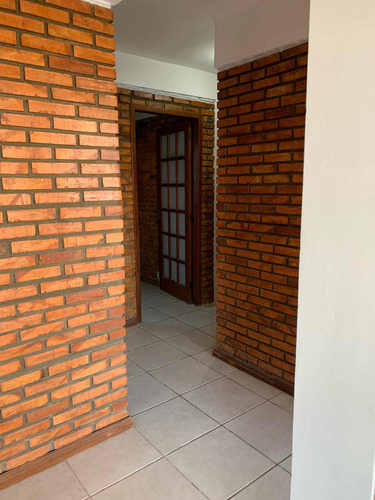 Sobrado Zona Sul Com 2 Apartamentos, Terraço, Lareira,pomar