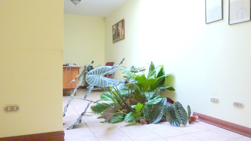 Imagen 7 de 8 de Casa En Venta En Urb. Roma Oeste Rohrmoser
