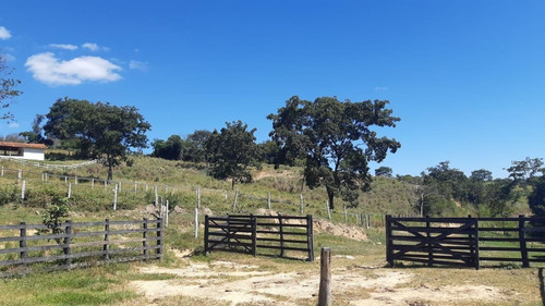 Imagem 2 de 15 de Fazenda Para Venda Em Esmeraldas, Andiroba, 3 Dormitórios, 1 Suíte - F15_1-1536597