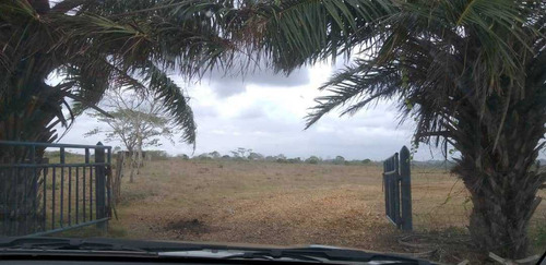 Imagen 11 de 17 de Finca En La Colonia En Yaracal Edo. Falcon