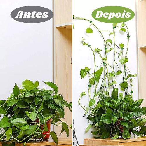 Kit 100 Gancho Suporte Planta Trepadeira - Adesivo Parede