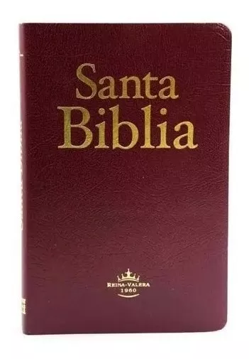 Tercera imagen para búsqueda de biblia reina valera