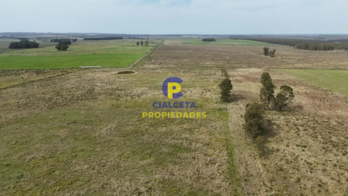 3 Hectáreas En Noya, Departamento De Canelones