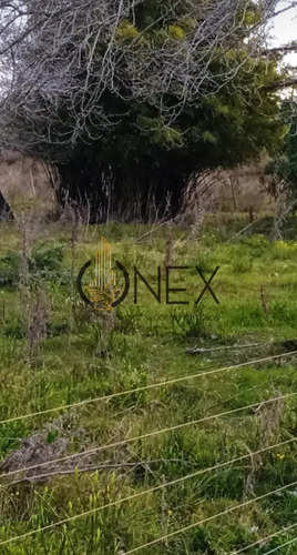 Oportunidad Chacra De 3 Ha En Venta En San Bautista