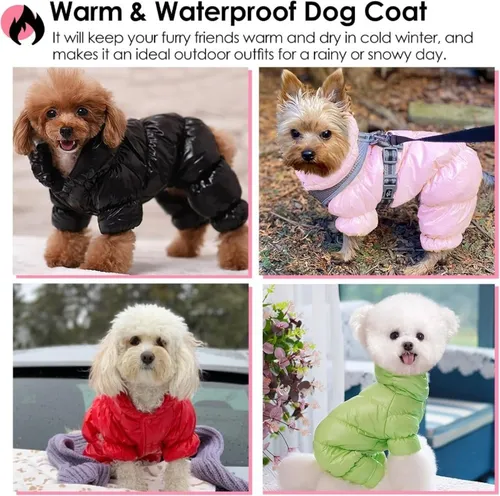 Puffy dog jacket new arrivals