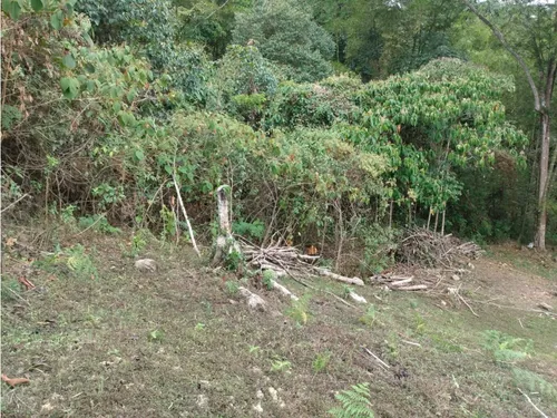 Se Vende Lote 3.720mts La Mesa Gran Via  $ 140.000.000