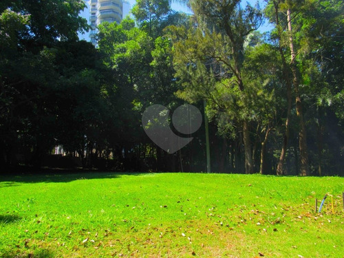 Imagem 5 de 27 de Loteamento-são Paulo-alto Da Boa Vista | Ref.: Reo27946 - Reo27946