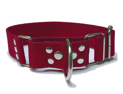 Collar De Perro Martingale Ajustable Reforzado S-m