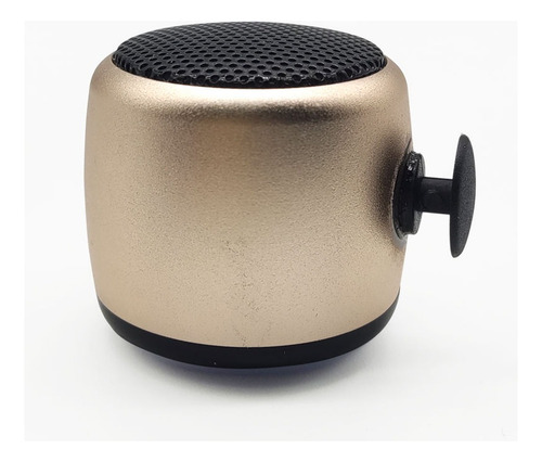 Parlante Bluetooth Portatil C/pines Para Crocs Selfie Correa Dorado