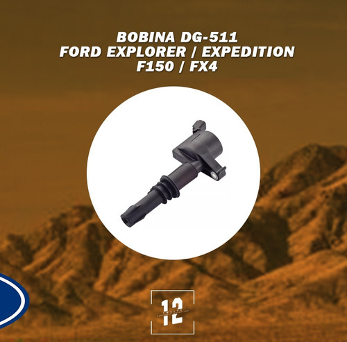 Bobina Dg 511 Explorer / Expedition / F150 / Fx4 Original 