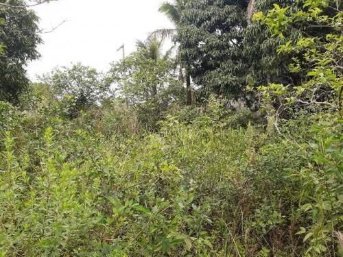 Imagem 2 de 3 de Terreno No Bairro Chácaras Lucél, Em Itanhaém - 9135