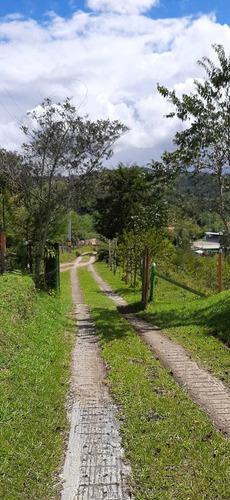 Imagen 25 de 28 de Hermosa Finca En Venta Marinilla