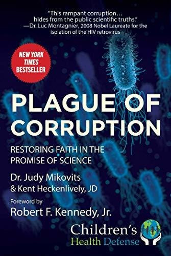 Book : Plague Of Corruption Restoring Faith In The Promise.