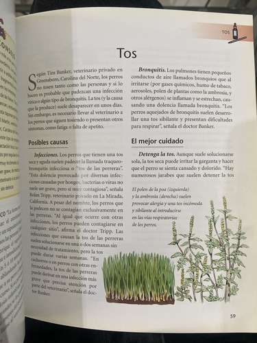 Síntomas Y Soluciones Los Mejores Remedios Para Su Perro (Usado)