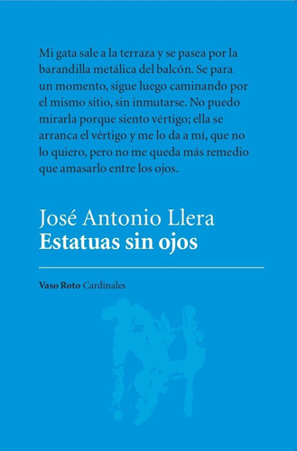 Estatuas Sin Ojos, De Llera, Jose Antonio. Editorial Vaso Roto Ediciones, Tapa Blanda En Español