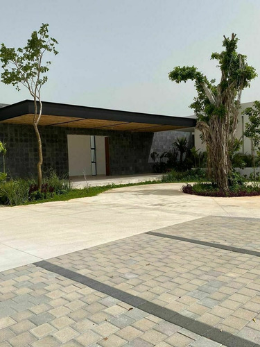 Imagen 4 de 13 de Excelentes Lotes En Venta En Kinish Residencial En Tixcuytun
