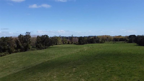 Agrícola En Venta En Puyehue