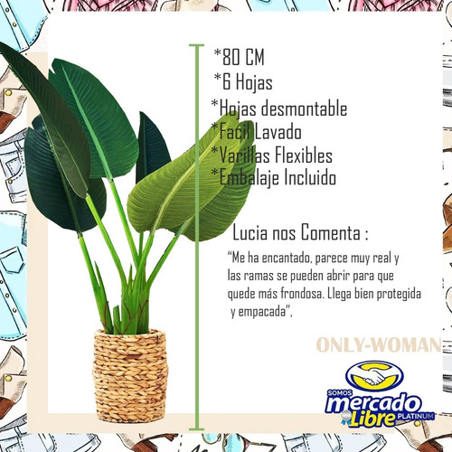 Imagen 9 de 10 de Ave De Paraiso Planta Artificial Exterior Decoracion Maceta