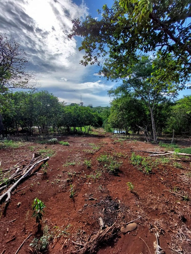 Imagem 8 de 9 de Chácara De 13.709 M² Com Açude À Venda Em Santa Terezinha De Itaipu/pr