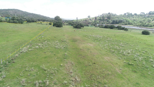 Imagen 6 de 13 de 38 Hectareas A La Venta En El Corazón De Villa Serrana - Zona Represa / Las Cumbres