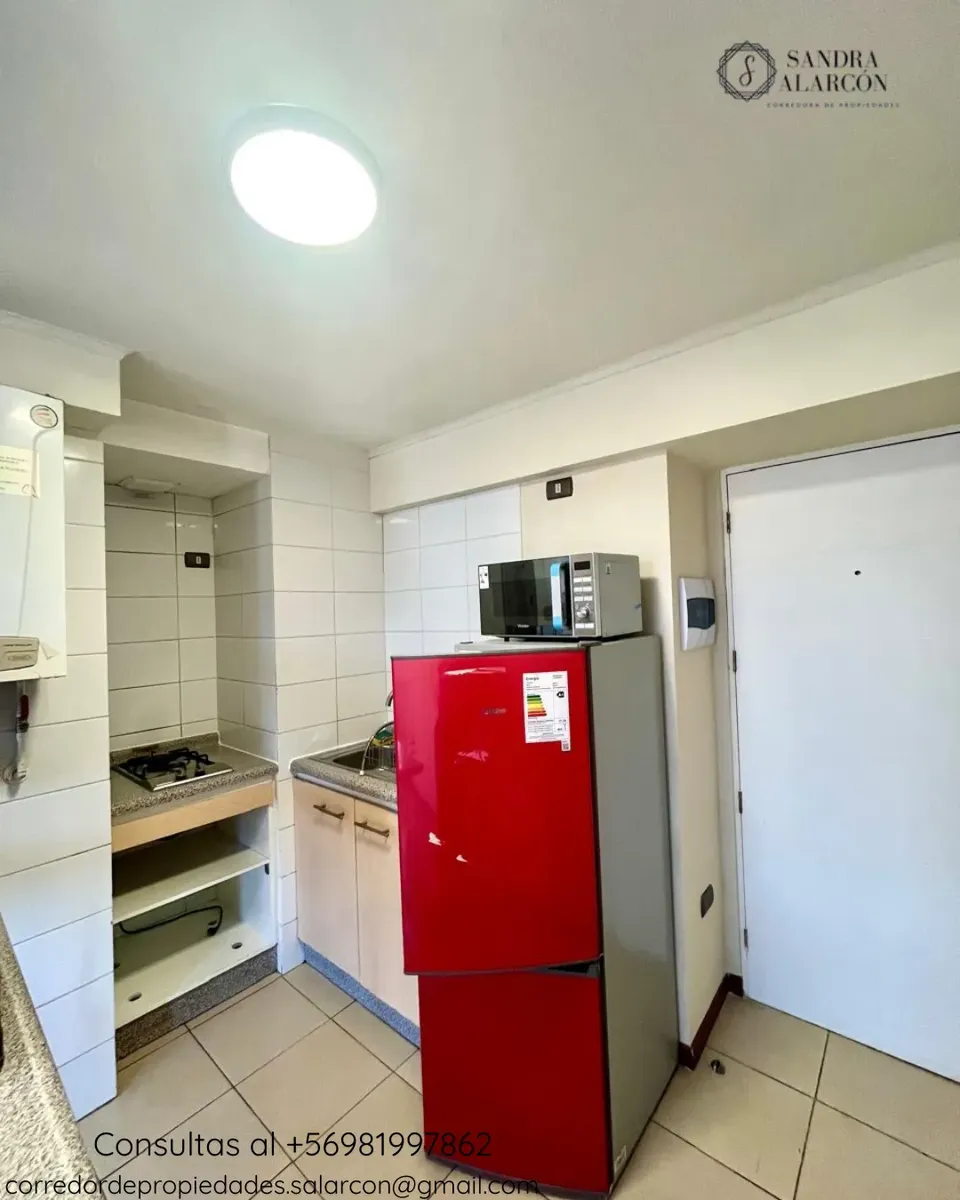 Imagen 2 de 7 de Arriendo De Departamento 1d - 1b - 1b, Collao / Concepción