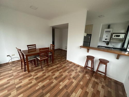 Departamento En  Alquiler Con Muebles. Diag. 79 E/ 54 Y 55