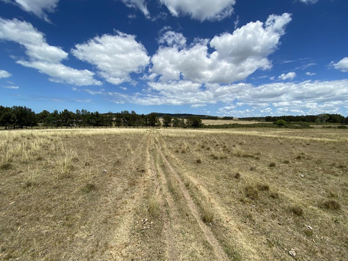 Imagen 9 de 14 de Chacra A La Venta Sobre Ruta Interbalnearia Excelente Ubicación 36há O Fracción