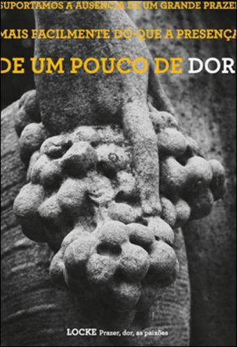 Prazer, Dor, As Paixões, De Locke, John. Editora Wmf Martins Fontes, Capa Mole, Edição 1ª Edição - 2012 Em Português