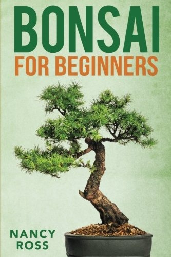 Bonsai For Beginners