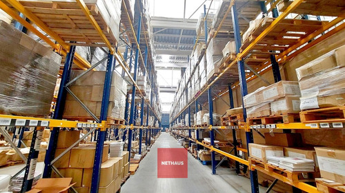 Nethaus Vende Excelente Centro Logístico C. Sombrero - Maipú