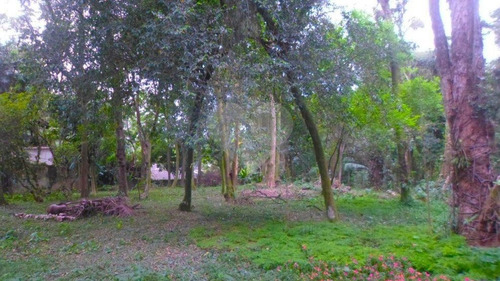 Terreno Na Chácara Flora - 375-im42834
