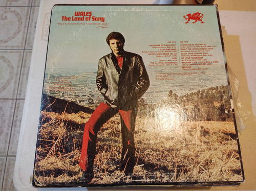 Tom Jones I Who Have Nothing Vinyl,lp,acetato Imp (Usado)