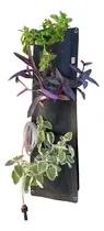 Comprar Jardín Vertical Geotextil C\u002F Riego 3 Bolsillo Vertical Med