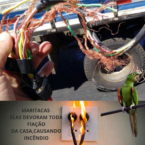 Espanta Repele Morcego Pombo Pardal Maritaca Xô Pássaros