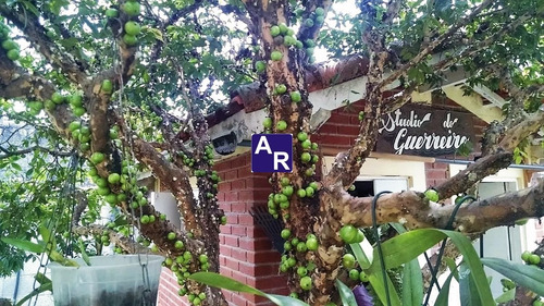 Imagem 9 de 12 de Vendo Casa Alto Padrão Granja Viana Caucaia Do Alto 340m2 De Construção 1290m2 De Terreno 7 Dormitórios 5 Suites 4 Vagas Independentes - Ca00007 - 33973259