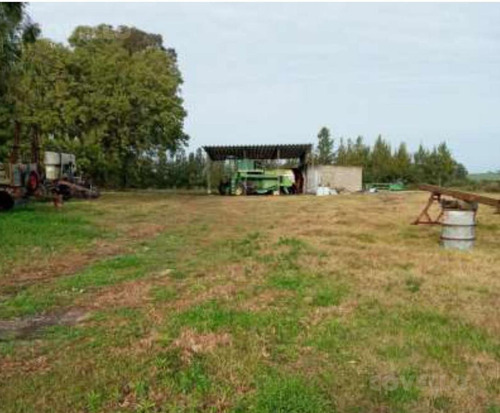 Imagen 5 de 5 de Campo - Otras