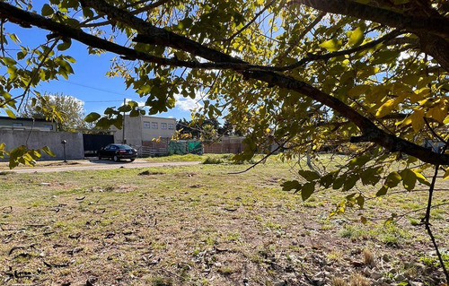 Lotes En Venta San Carlos, La Plata 149 Y 42, La Plata - 9.85 X 28.0m