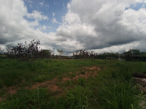 Imagen 7 de 15 de Finca En Tinaquillo. Sof001. Lsl
