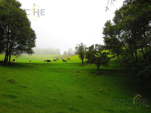 Terreno En Venta En Las Vigas Ver Camino A Tlacolulan Veracruz, Hermosos Paisajes