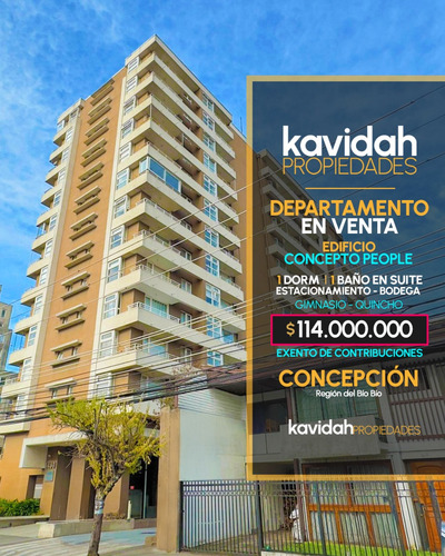 1d/1b/1e Exento De Contribuciones Maipú 1430, Concepción