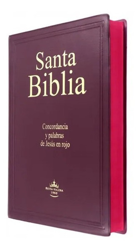  Biblia Reina Valera 1960 Letra Gigante 14pt Vinil Colores