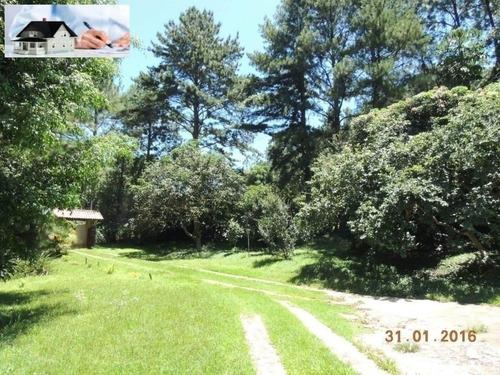 Imagem 10 de 15 de Chacara-santana - Chacara