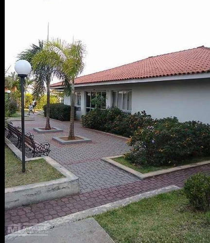 Imagem 6 de 16 de Apartamento Com 03 Dormitórios À Venda Em São Miguel Paulista - Ap2313