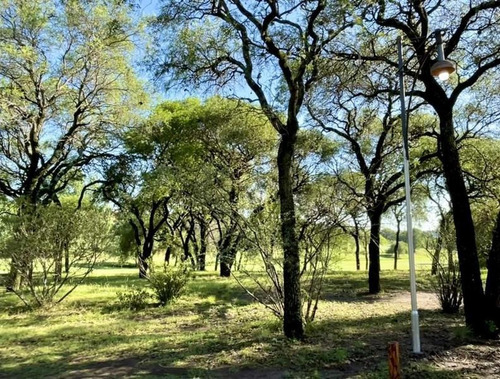 Imagen 4 de 10 de Lote Terreno En Venta Country Lomas De La Carolina